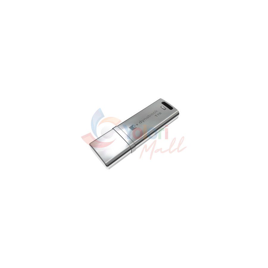 DYNABOOK BOOST X25 USB FLASH DRIVE 1TB — gambar 1