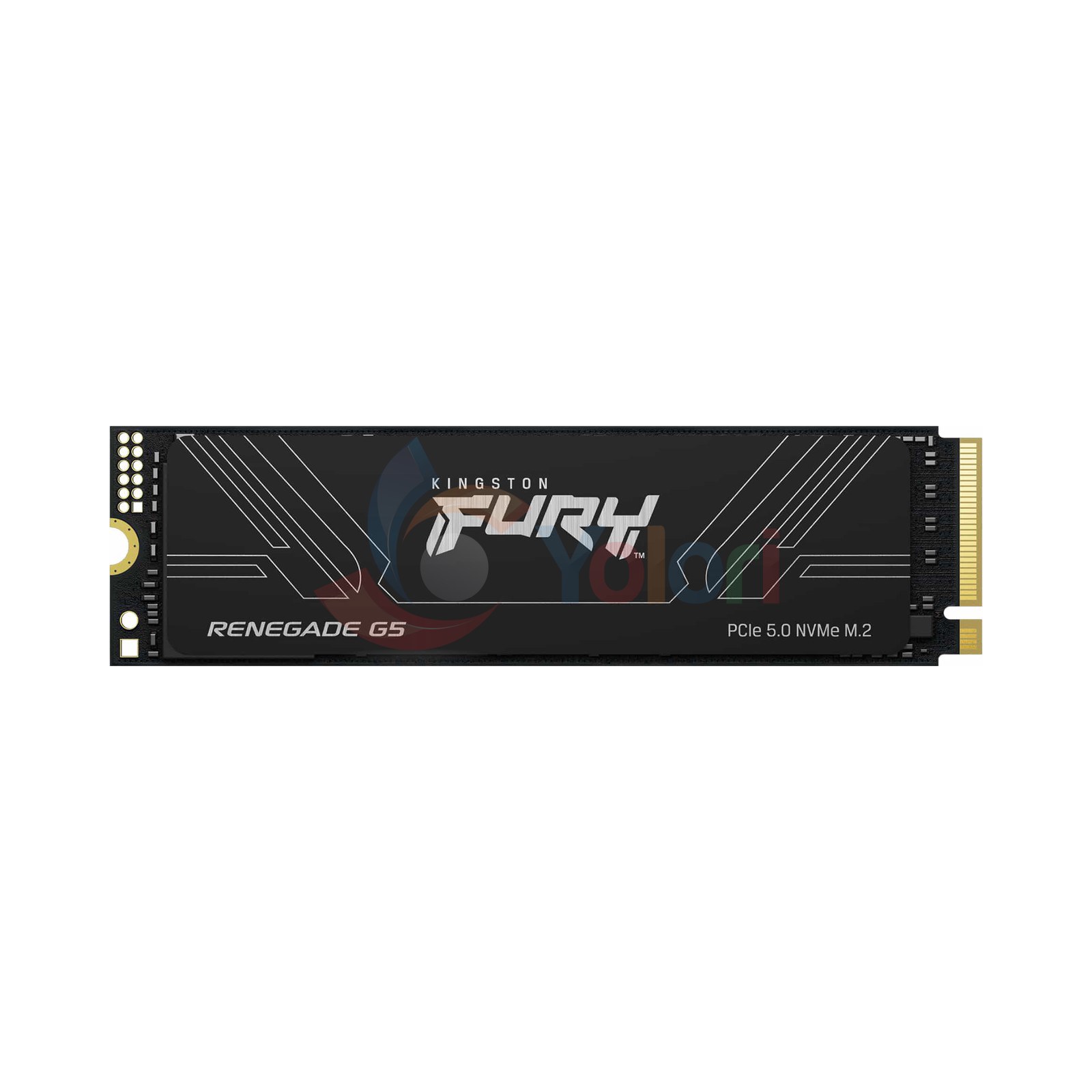 Kingston FURY Renegade G5 2TB — gambar 1